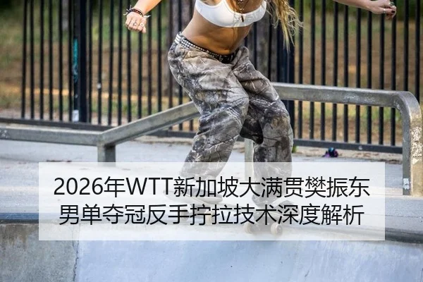 nian-xin-jia-po-da-man-guan-fan-zhen-dong-nan-dan-duo-guan-fan-shou-ning-la-ji-shu-shen-du-jie-xi-2-493.jpg