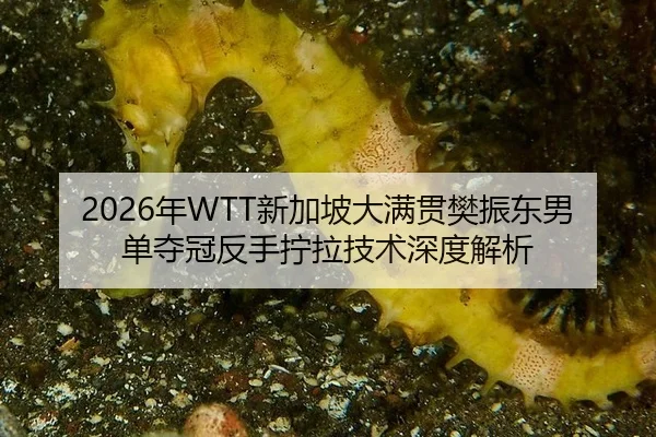 2026年WTT新加坡大满贯樊振东男单夺冠反手拧拉技术深度解析