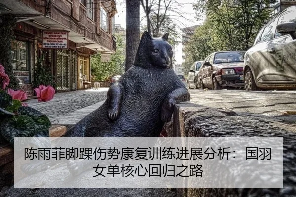 陈雨菲脚踝伤势康复训练进展分析：国羽女单核心回归之路